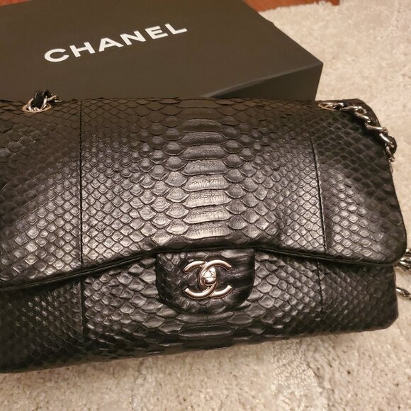 CHANEL Python Double Flap Bag with Silver Hardware - Picture 2 of 6